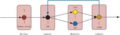 Mathematical study of neural feedback roles in small target motion detection